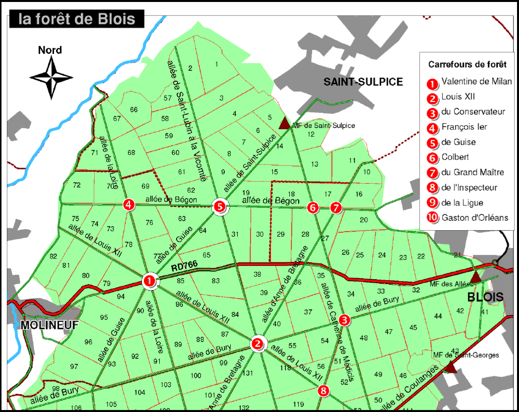 Plan de la forêt