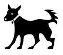 Chien